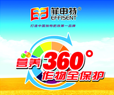 视频欣赏22